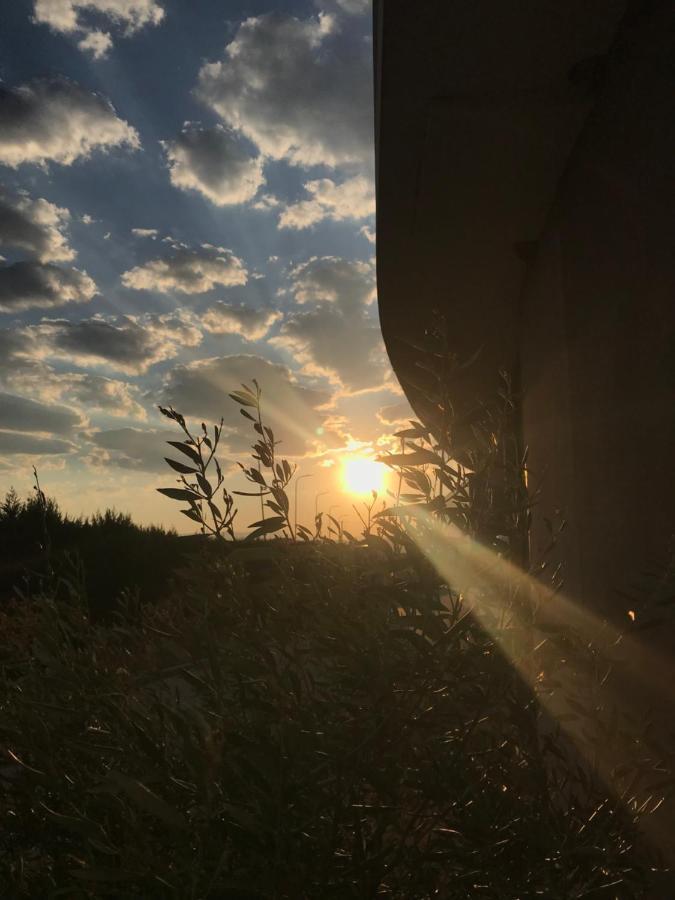 Coco Otel Tiran Dış mekan fotoğraf